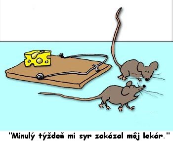 Vtip Nerařazeny