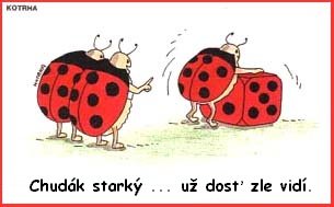 Vtip Nerařazeny