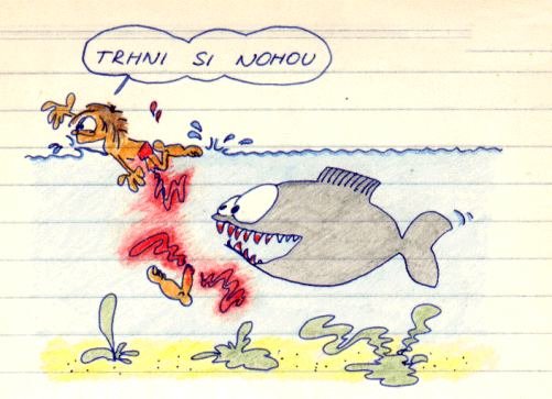 Vtip Nerařazeny