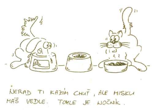 Vtip Nerařazeny