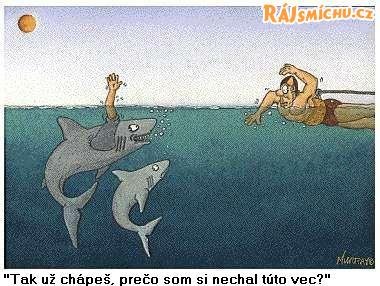Vtip Nerařazeny