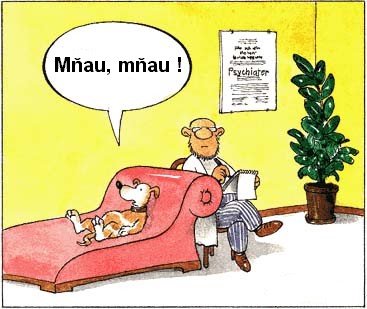 Vtip Nerařazeny