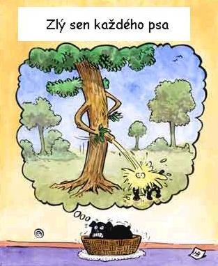 Vtip Nerařazeny