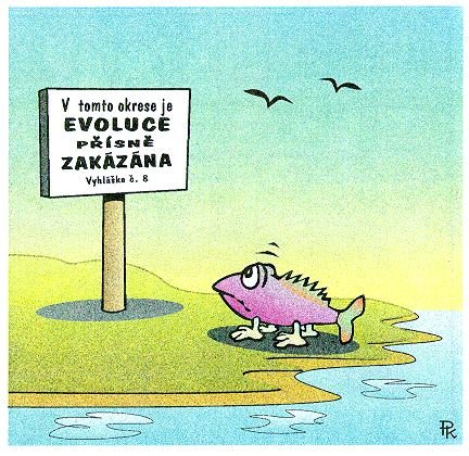 Vtip Nerařazeny