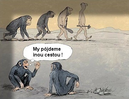 Vtip Nerařazeny