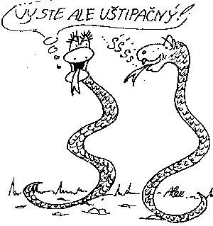 Vtip Nerařazeny