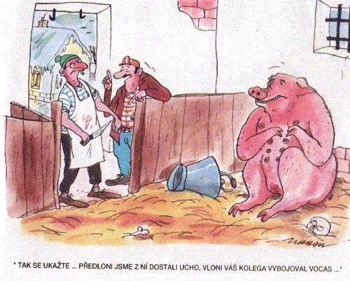 Vtip Nerařazeny