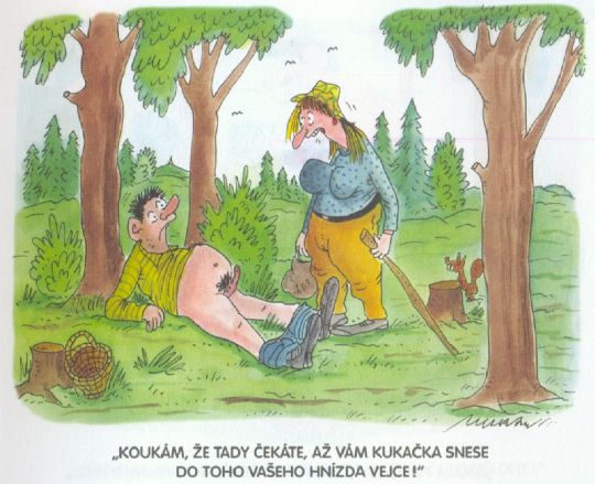 Vtip Nerařazeny