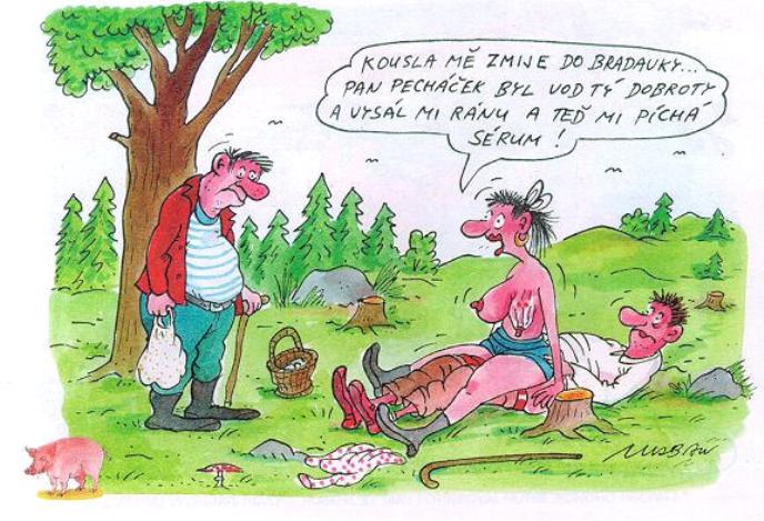 Vtip Nerařazeny