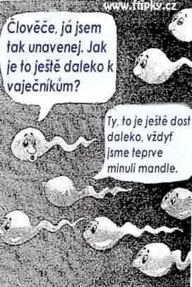 Vtip Nerařazeny